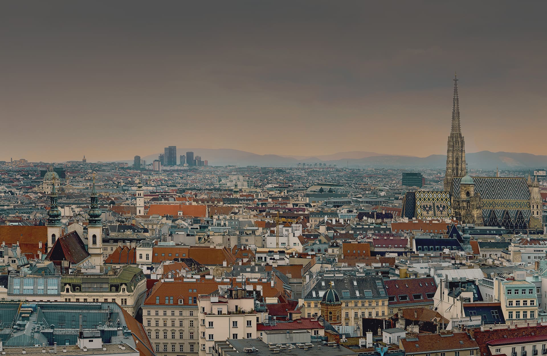 Dächer über Wien